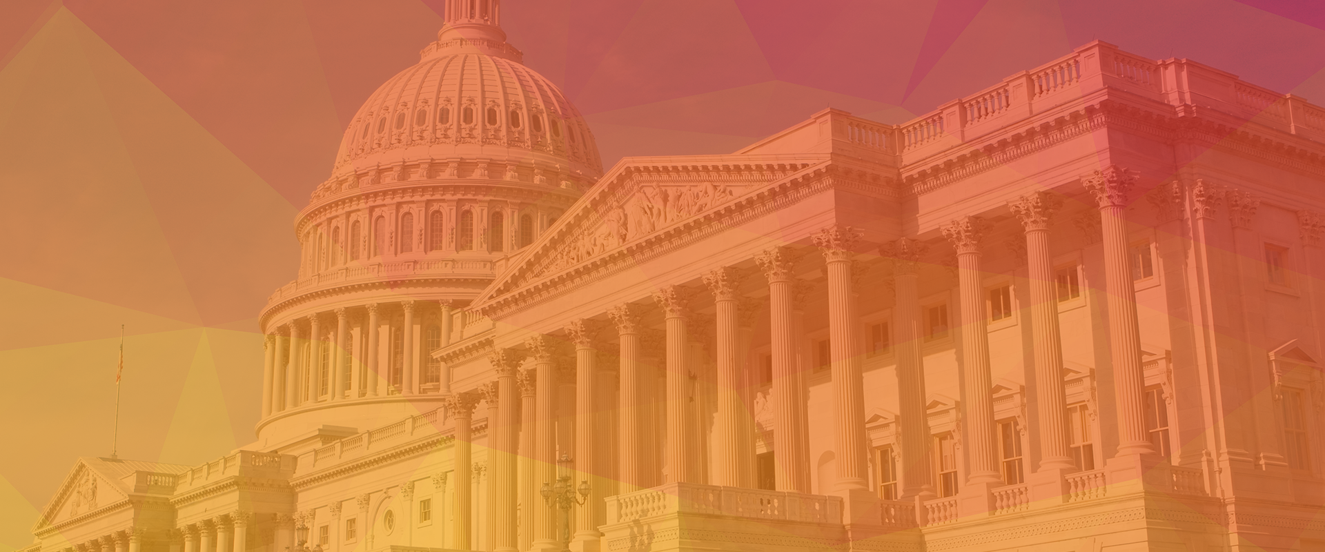 Federal Cyber Security Representation - Lazarus Alliance Services