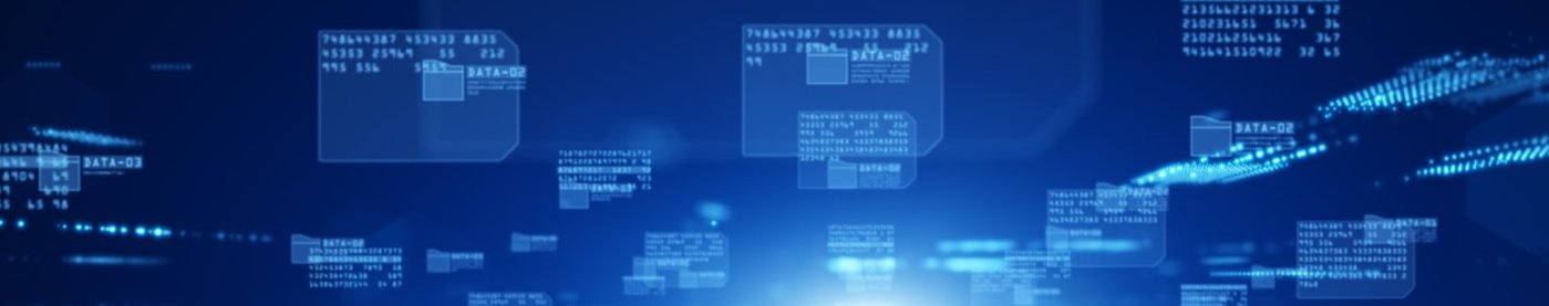 Trusted risk management program by Lazarus Alliance  