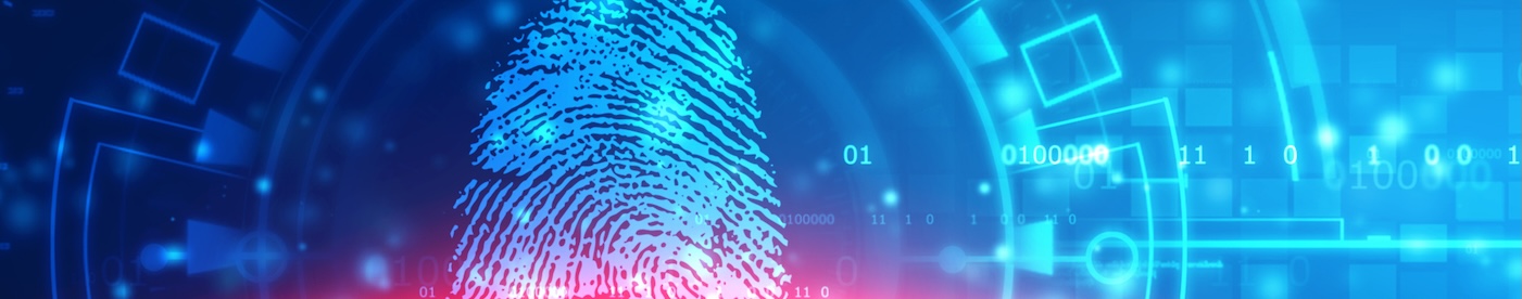 Lazarus Alliance helps enterprises manage identity security and data governance.