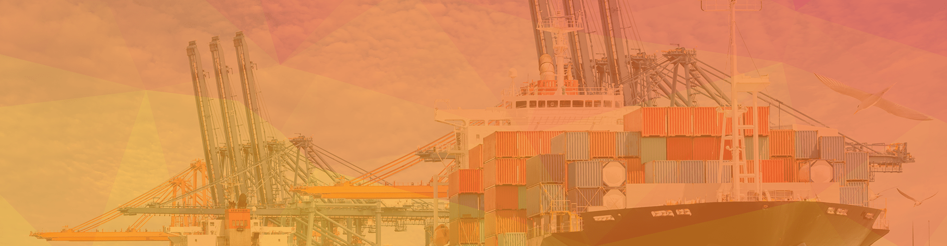 CTPAT Audit Services & Compliance Assessments from Lazarus Alliance. Call +1 (888) 896-7580 today!