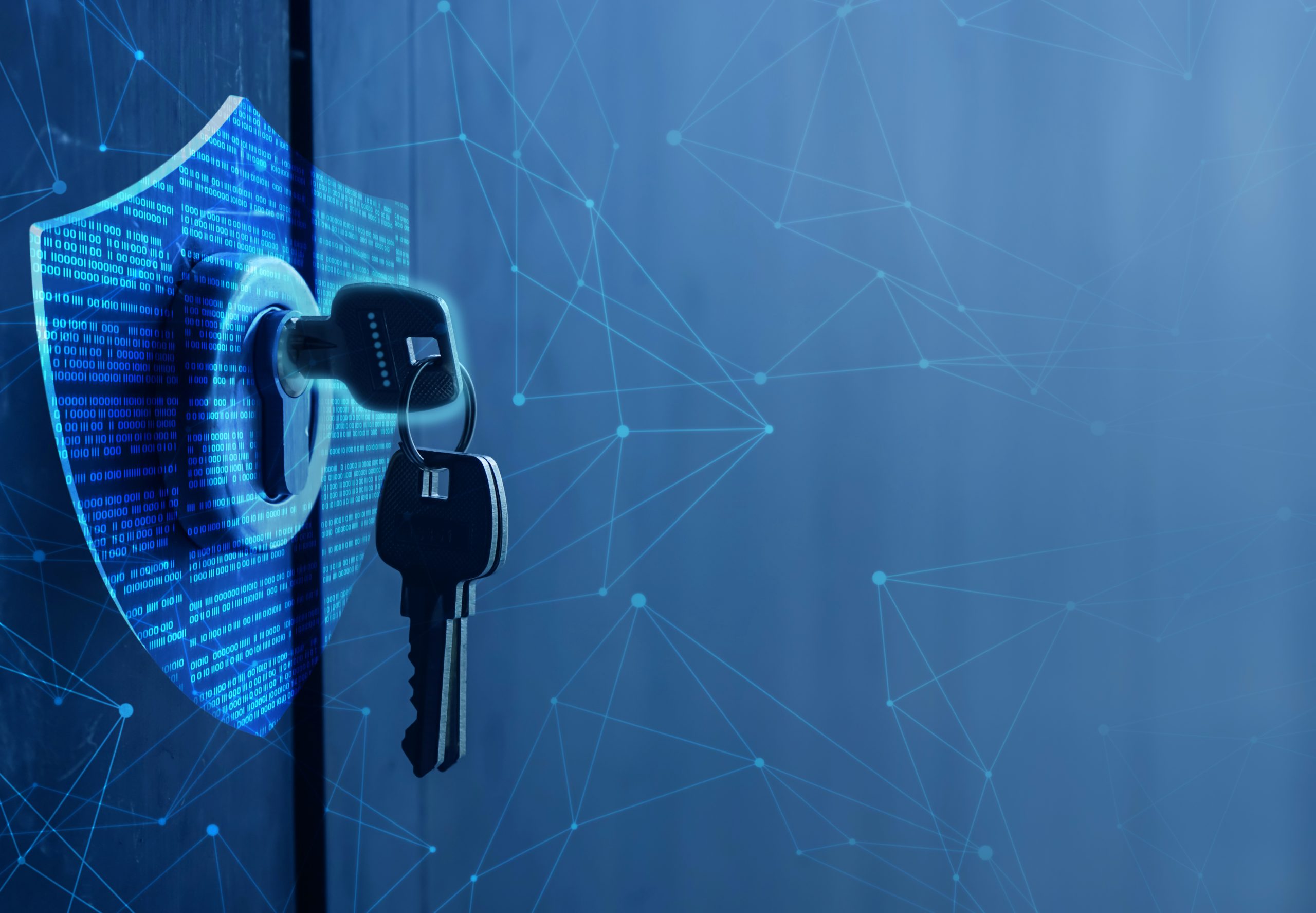 A blue key inserted into a loc on a shield symbol.